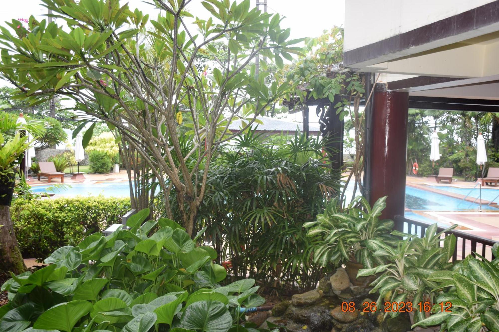 Patong Kalim Residence מראה חיצוני תמונה